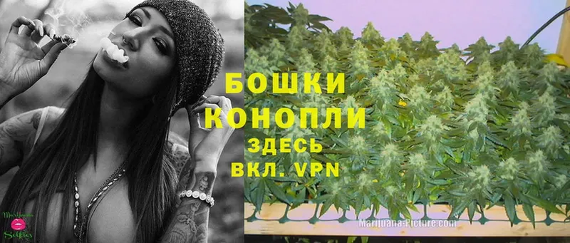 Бошки марихуана OG Kush  где найти наркотики  Апрелевка 